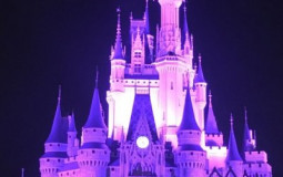 Disney Princess Movies