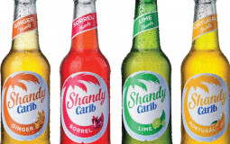 Shandy4