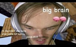 Who has the biggest brain