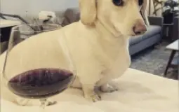 peopel we haet!!@1!!1