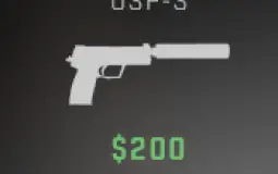 gun