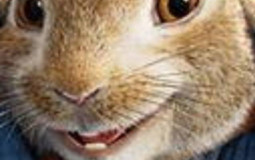cumdumpster cat