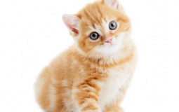 jugeons des personnages