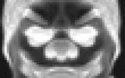 Payday 2