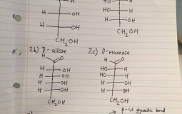 Countries that could fuck me up
