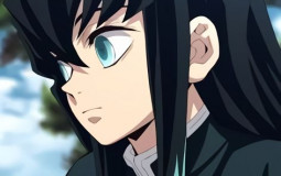 Demon slayer hashira