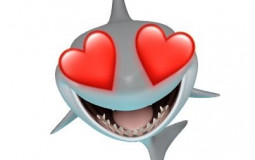 bruh my friends past crushes