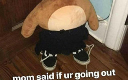 xd