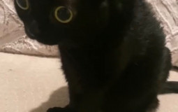 emma’s baked goods