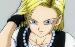 Dragon Ball/DBZ Waifus