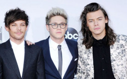Harry, Louis and Niall solo songs