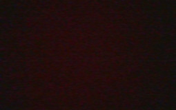 people at our school