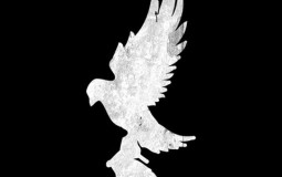 Hollywood Undead Albums