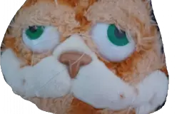 how I rank attractiveness in females