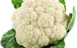 Ultimate Vegetable Tier List By Dumb & Dumber