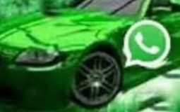 Every video game I've played