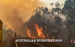 Bushfires Birthday meme