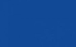 Types of Showdown Players