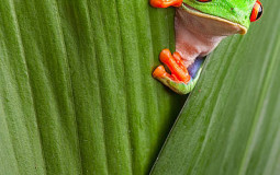 mathematically accurate objectively correct snack tier list