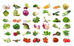 POTAGER