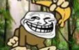 funny jungle