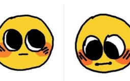 Wynn's Romantic F/O's