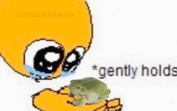 Animals i like more than other animals