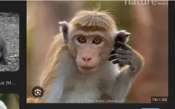 My Favorite Character