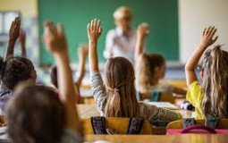 Las materias o Clases.