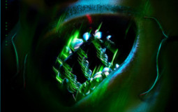 Top sons Trinity - Laylow