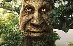 Best Looking in the GC