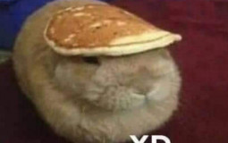 All comlete games by CRIOL