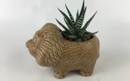 Twist Boys Favorite Princesses