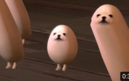 all eggdog videos (except a few idk)