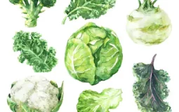 Edible Leafs