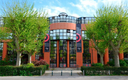 Purchasing & Supply Chain MSc