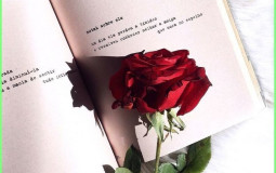 elena_r17
