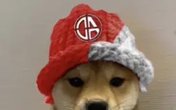 gay
