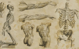 My Nocca Teachers I Guess