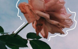 Disney and Nikelodeon Tv Shows