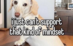 Inverse Happiness Effect