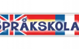 åk 9
