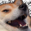 incognitophenomenon Avatar