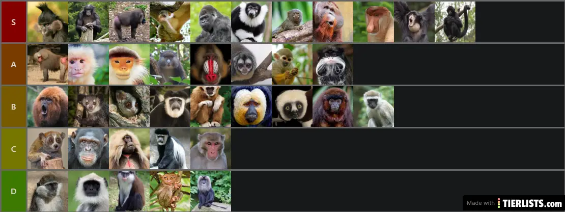 monky