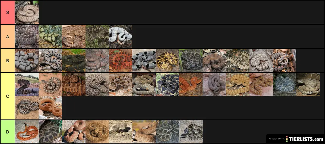obscurus is god tier