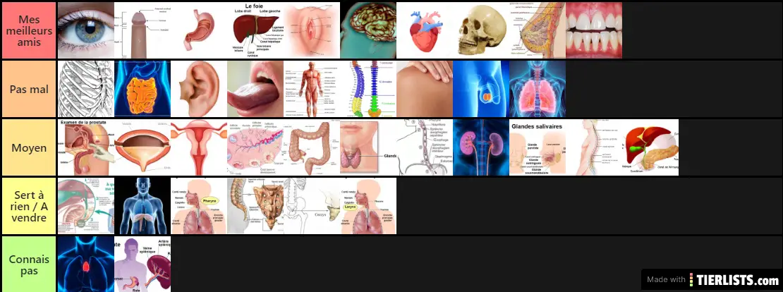 Organs tierlist