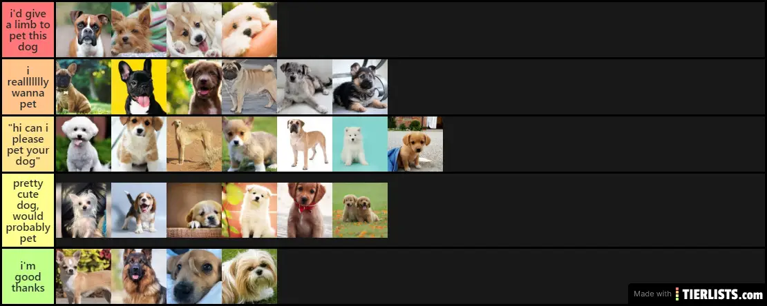 Pet dogiiess