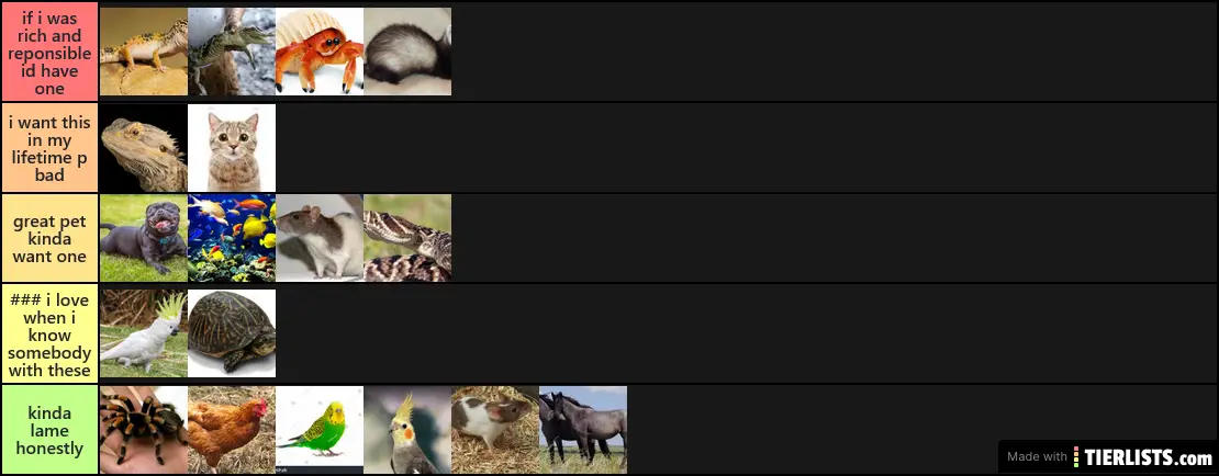 petliste vong froggendoggo