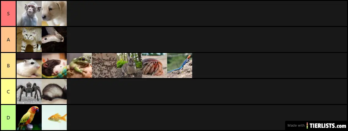 Pets