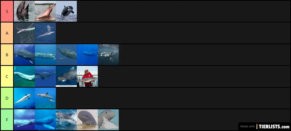 ScaryA$$Whales